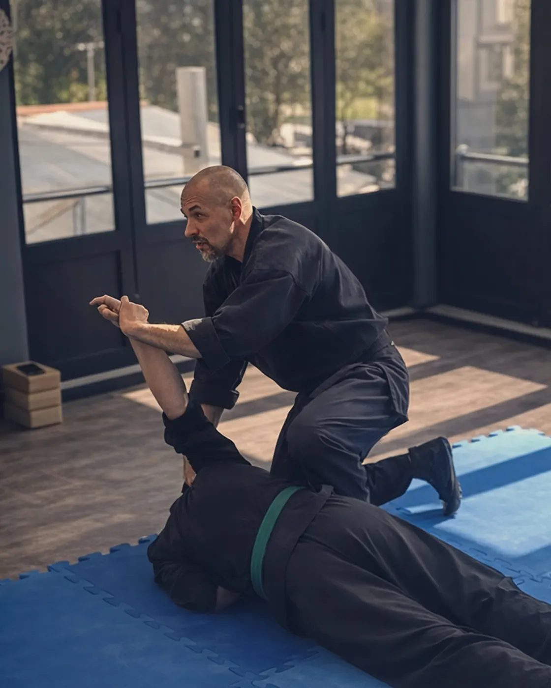 Budō Taijutsu